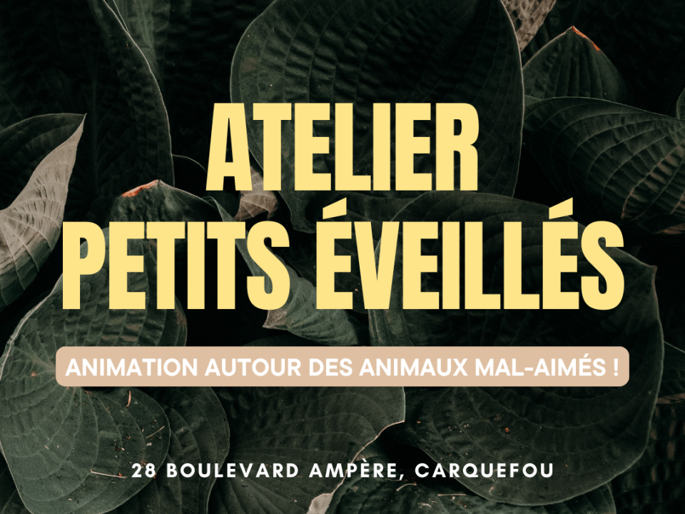 ATELIER-PETITS-ÉVEILLÉS-CARQUEFOOD-CARQUEFOU
